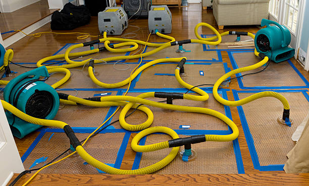 Professional Basement Flood Cleanup technician working in Hayden, CO